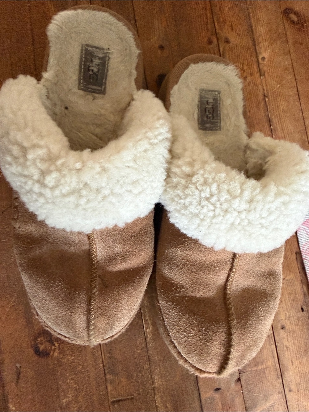 UGG Coquette